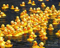 Mark your calendars for the June 8 Rubber Duck Races and Festival at the Farmstead